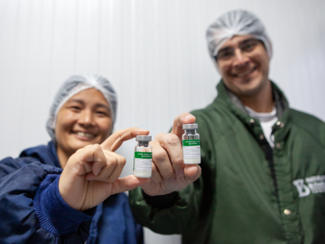 Butantan antecipa entrega de 1,3 milhão de vacinas contra dengue